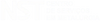 Net Steel